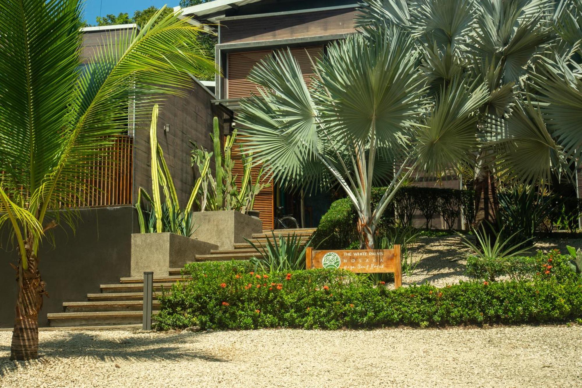 The White Palms Of Nosara Hotel Playa Guiones Exterior photo